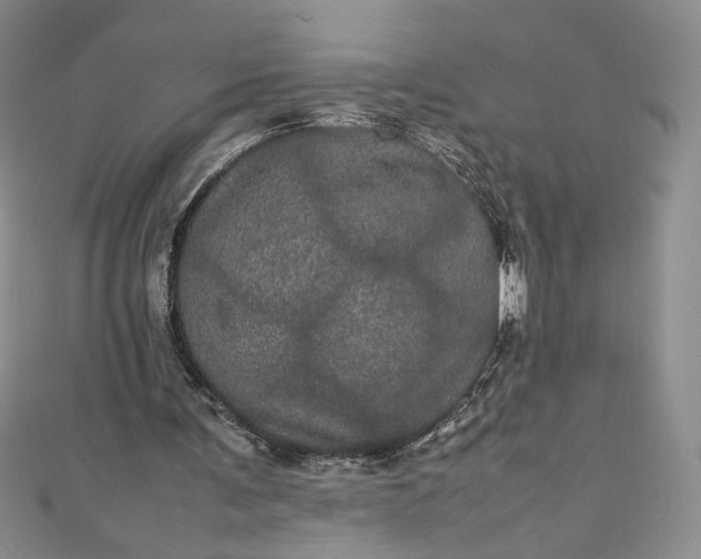 X0000111470291200907271317