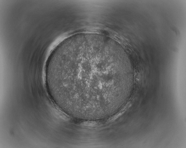 X0000111470294200907271317