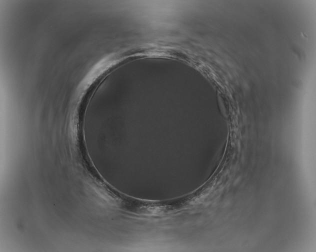 X0000111470295200907271317