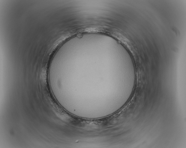 X0000111470297200907271317