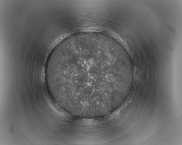 X0000111470298200907271317