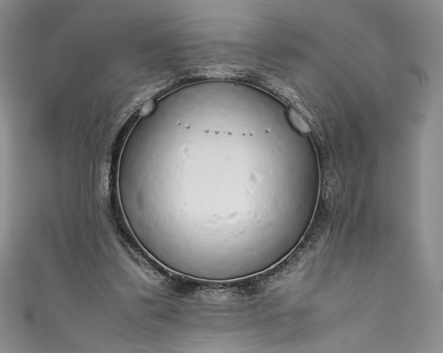 X0000111470299200907271317