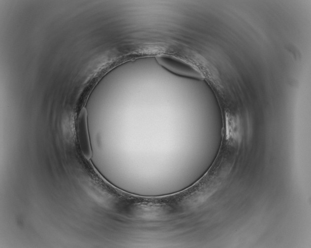 X0000111470300200907271317