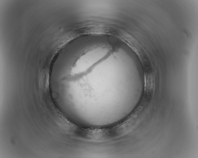 X0000111470301200907271317