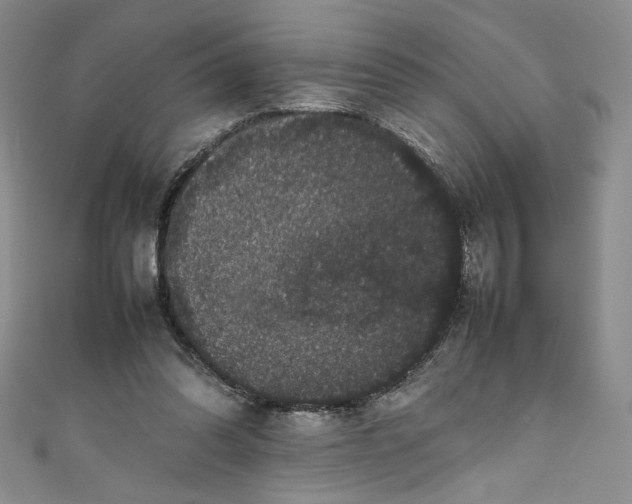 X0000111470302200907271317