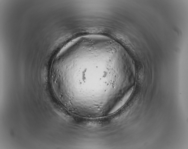 X0000111470303200907271317