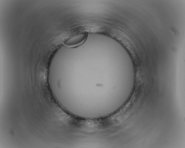 X0000111470305200907271317