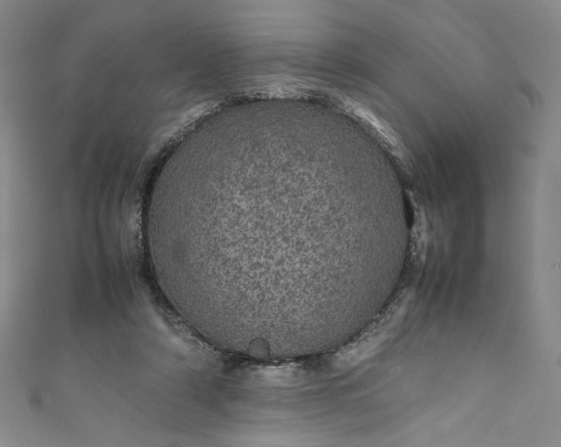 X0000111470306200907271317