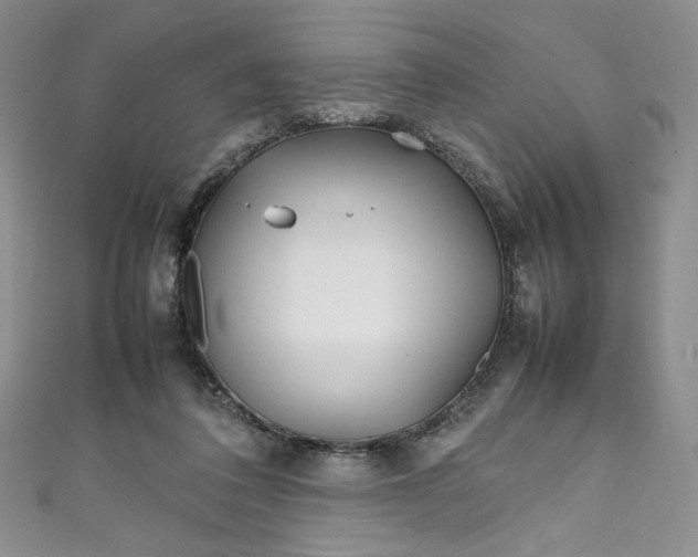 X0000111470308200907271317