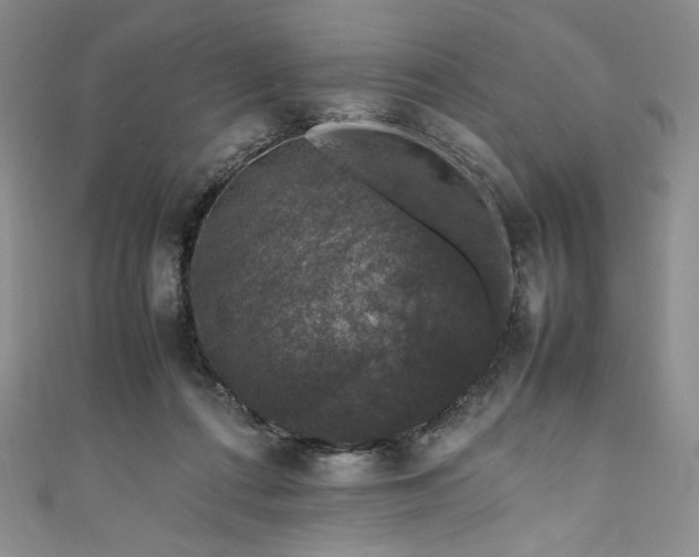 X0000111470312200907271317