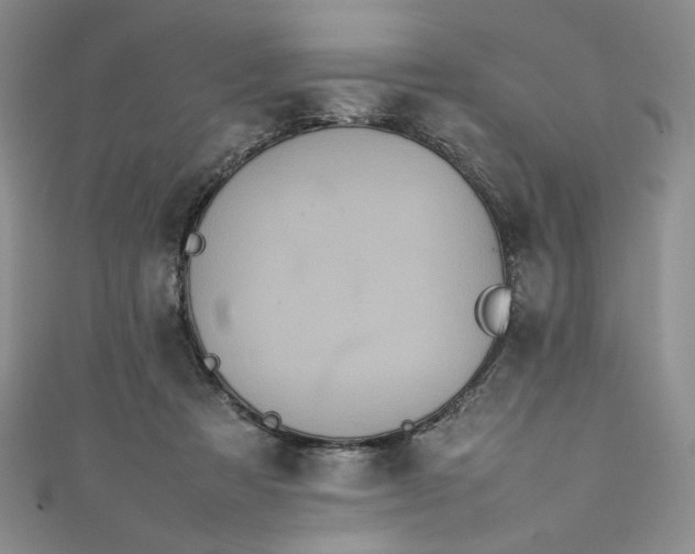 X0000111470313200907271317