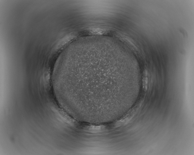 X0000111470314200907271317