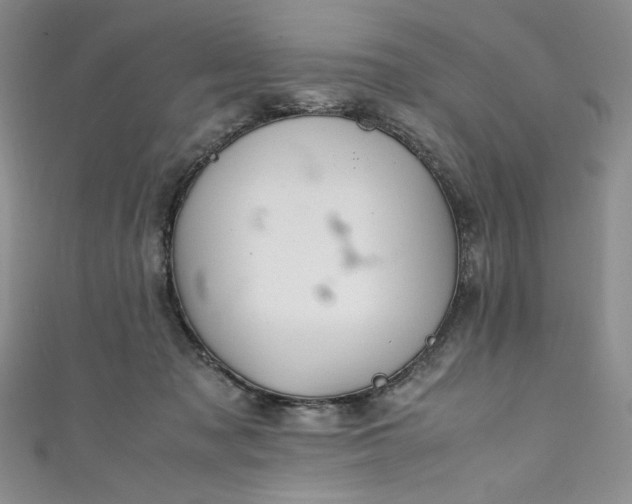 X0000111470317200907271317