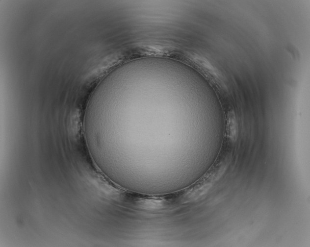 X0000111470318200907271317