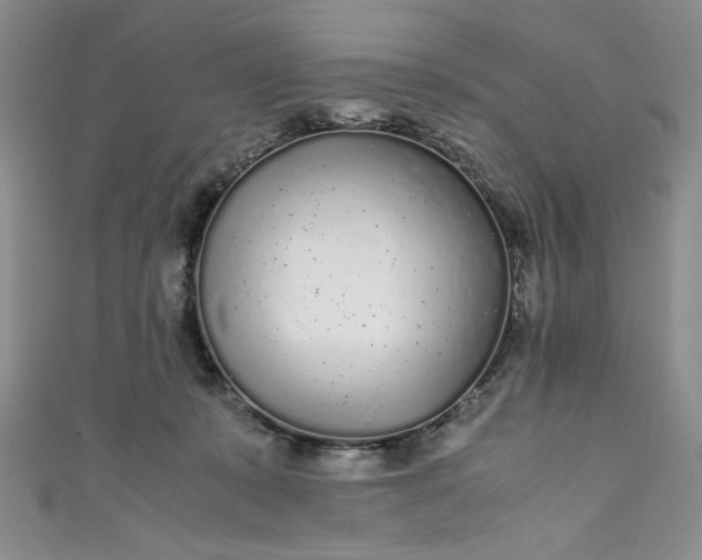 X0000111470319200907271317