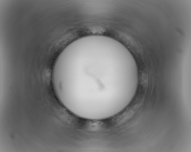 X0000111470321200907271317