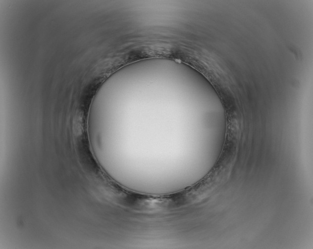 X0000111470323200907271317