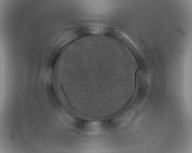 X0000111470325200907271317