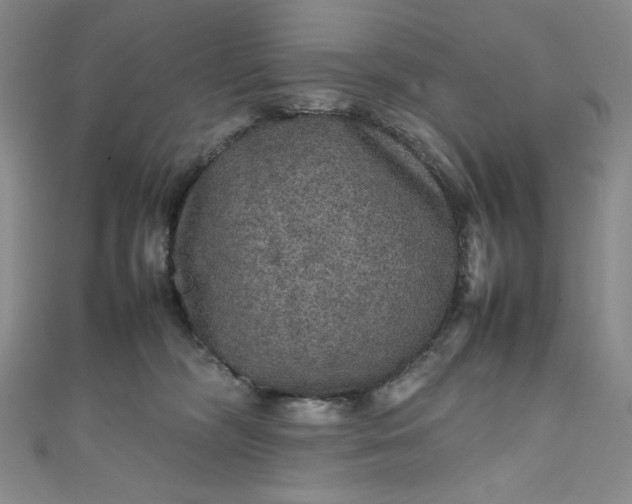 X0000111470326200907271317