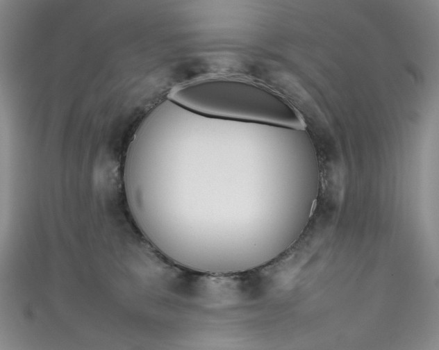 X0000111470327200907271317