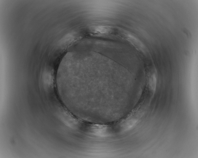 X0000111470328200907271317