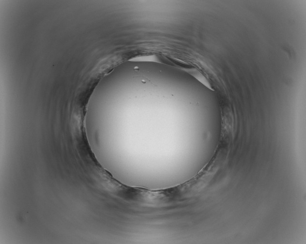 X0000111470333200907271317