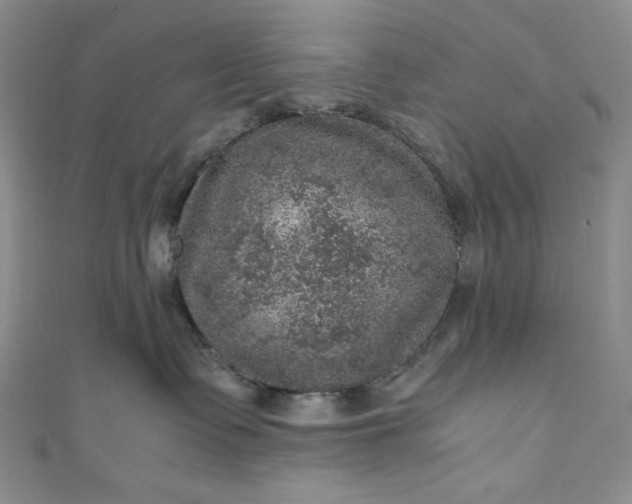 X0000111470335200907271317