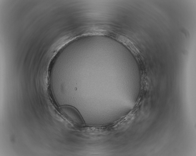 X0000111470338200907271316