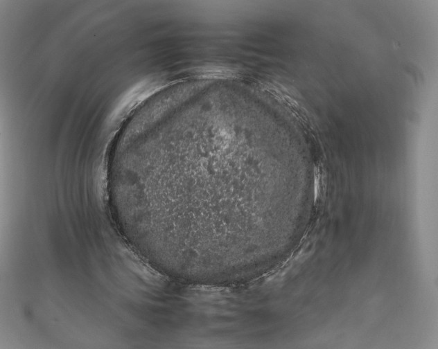 X0000111470339200907271316