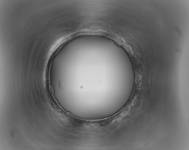 X0000111470340200907271316