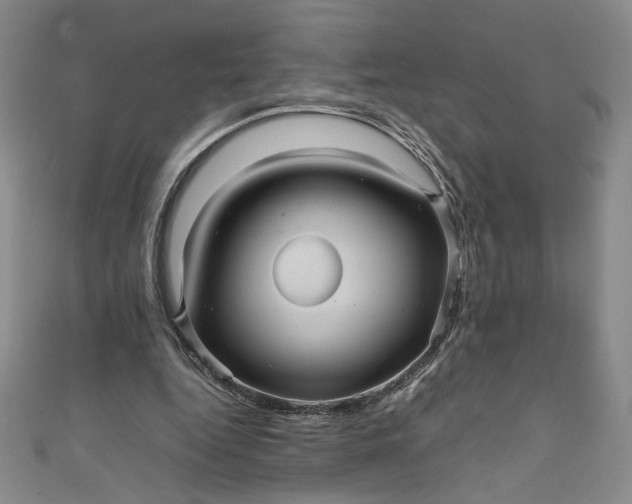 X0000111470344200907271316