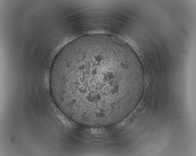 X0000111470345200907271316