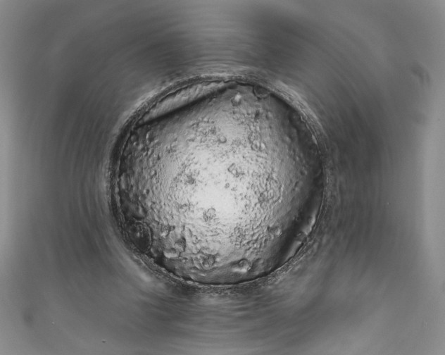 X0000111470346200907271316