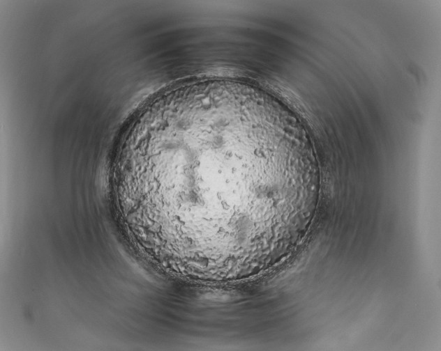 X0000111470347200907271316