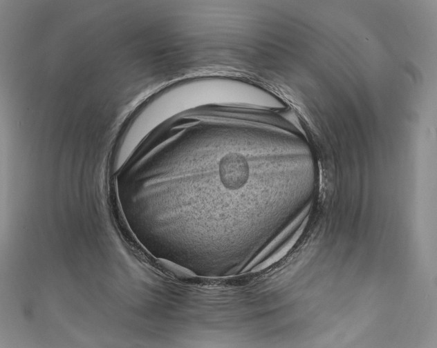 X0000111470348200907271316