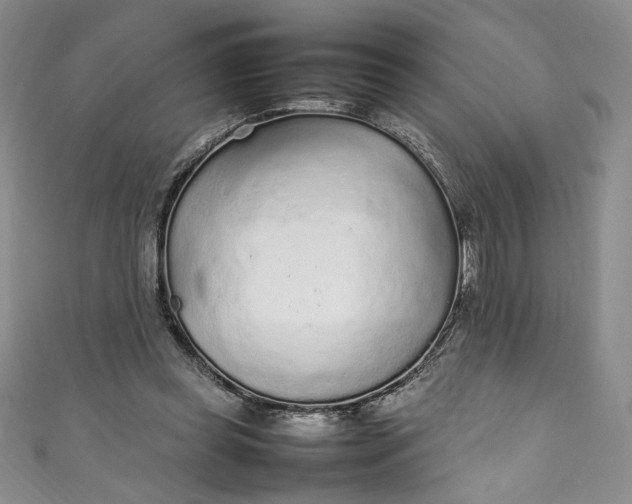 X0000111470349200907271316