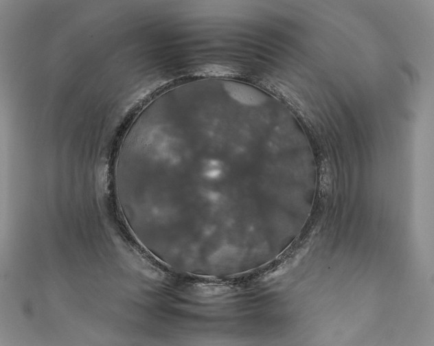 X0000111470351200907271316