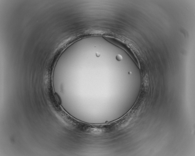 X0000111470352200907271316