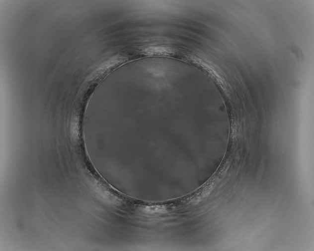 X0000111470353200907271316