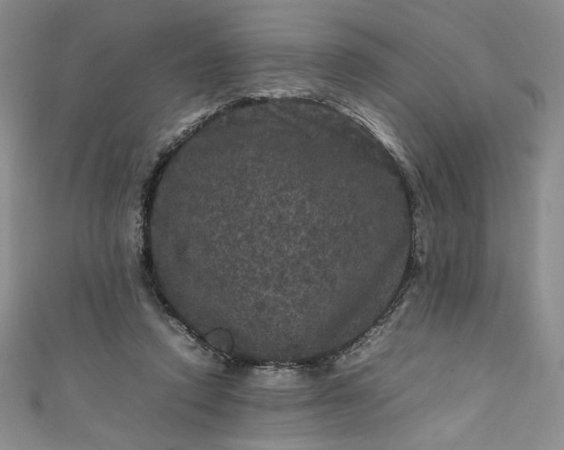 X0000111470354200907271316