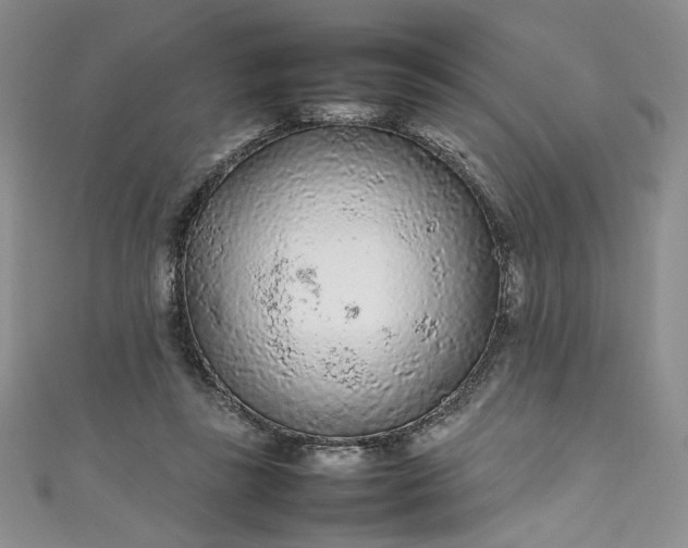 X0000111470355200907271316