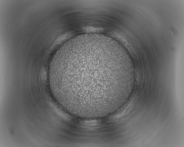 X0000111470357200907271316