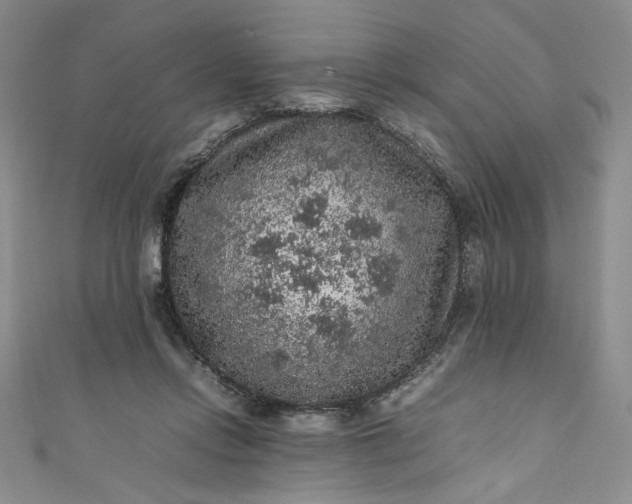 X0000111470358200907271316