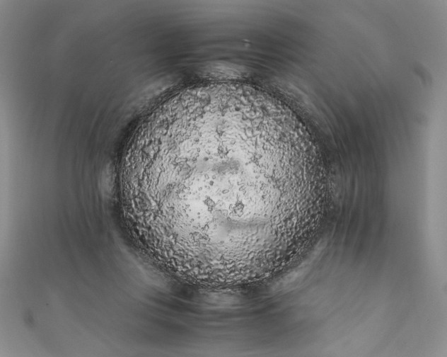 X0000111470359200907271316