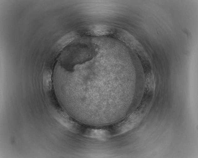 X0000111470360200907271316