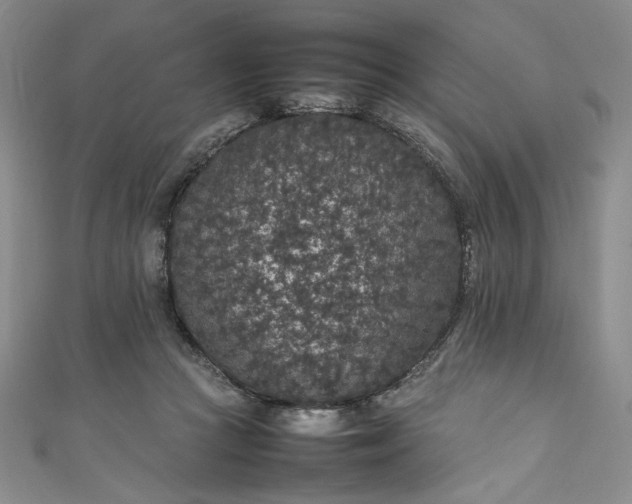 X0000111470361200907271316