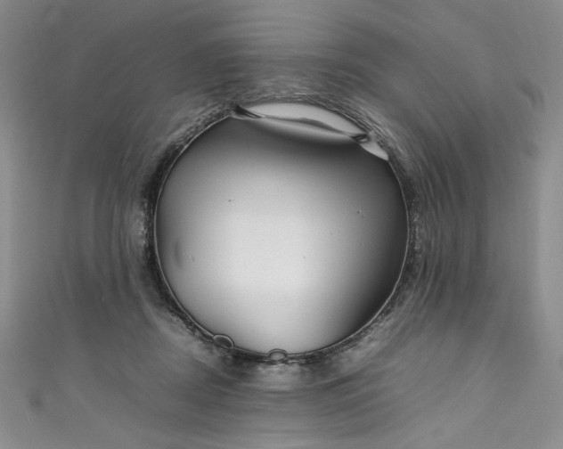 X0000111470362200907271316