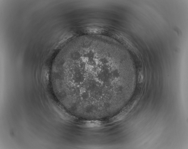 X0000111470363200907271316