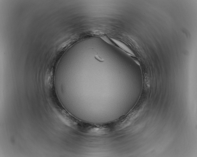 X0000111470364200907271316