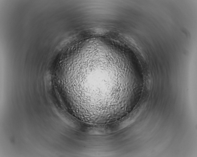 X0000111470366200907271317